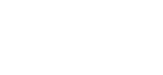 ZOE FASHION Logo